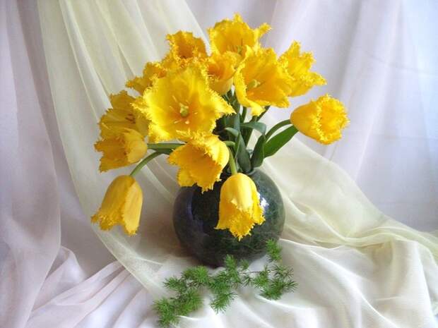 margarita-epishina Желтые тюльпаны Весенние натюрморты (700x525, 111Kb)