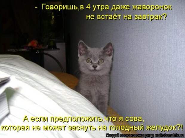 Кошкоматрицы.