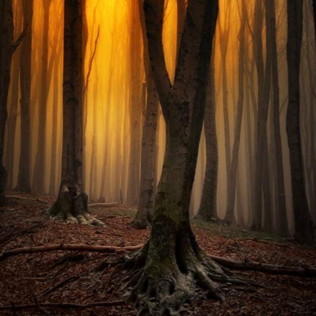 Красивые фотографии чешского фотографа Janek Sedlar