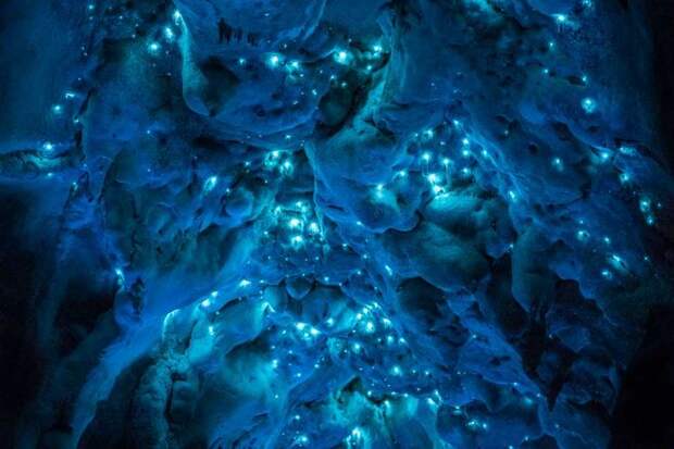 JosephMichaelLuminosity2.jpg.653x0_q80_crop-smart