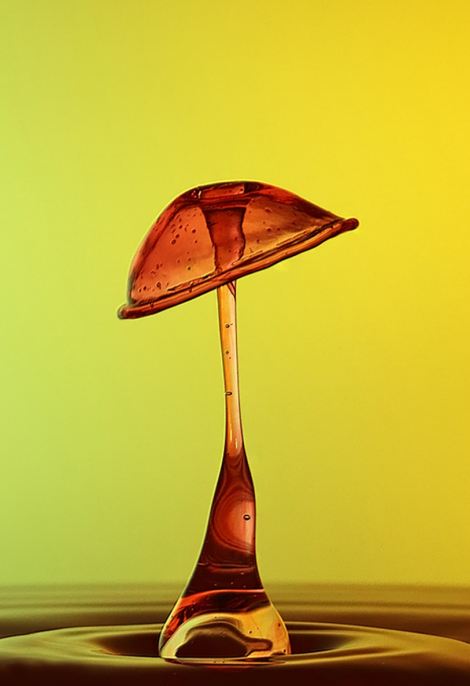 LIQUID SCULPTURES LIQUID SCULPTURES