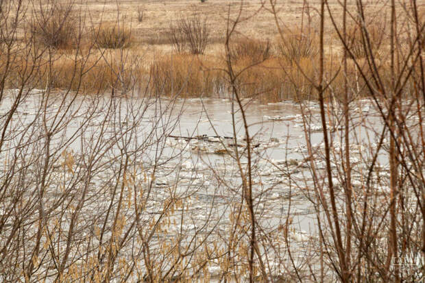Үзәк һәм Идел буе федераль округларында язгы ташу куркынычы югары булу турында кисәттеләр