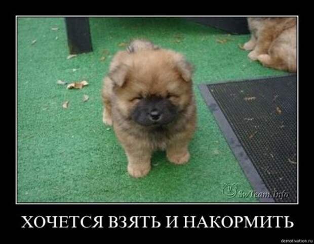 Демотиваторы смешные.