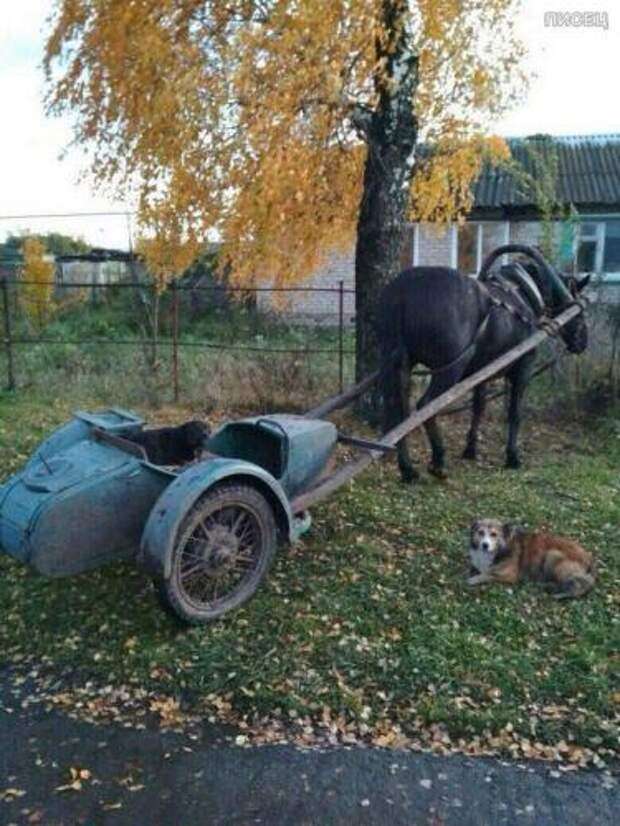 Отборный юмор деревенского разлива!