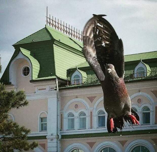 Классные и прикольные картинки (45 шт)