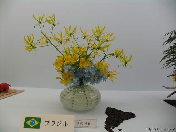 019 (700x525, 246Kb)