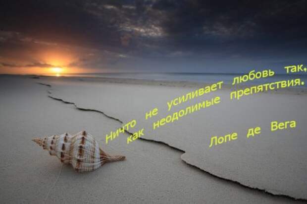 Цитаты о жизни (21 картинка)