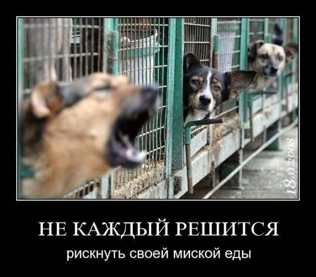 Демотиваторы (30 фото)