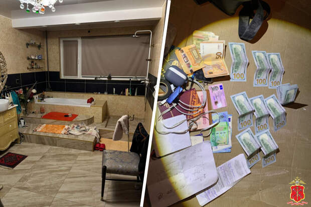 МВД: в Петербурге ректора частного вуза обвинили в легализации 501 иностранца