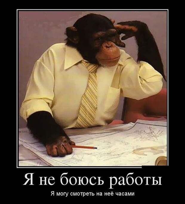Демотиваторы №1040 (30 фото) Демотиваторы №1040 (30 фото)
