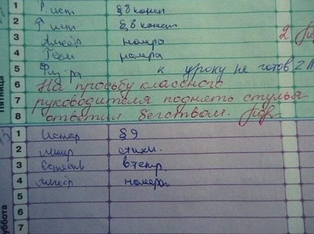 смешная запись в дневнике школьника