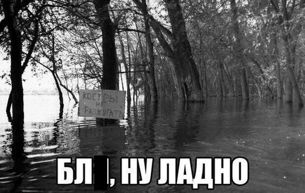 Смешные картинки с подписями катинки, прикол, юмор