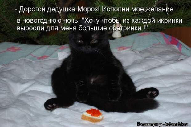 Мысли вслух - Ожидание Нового года