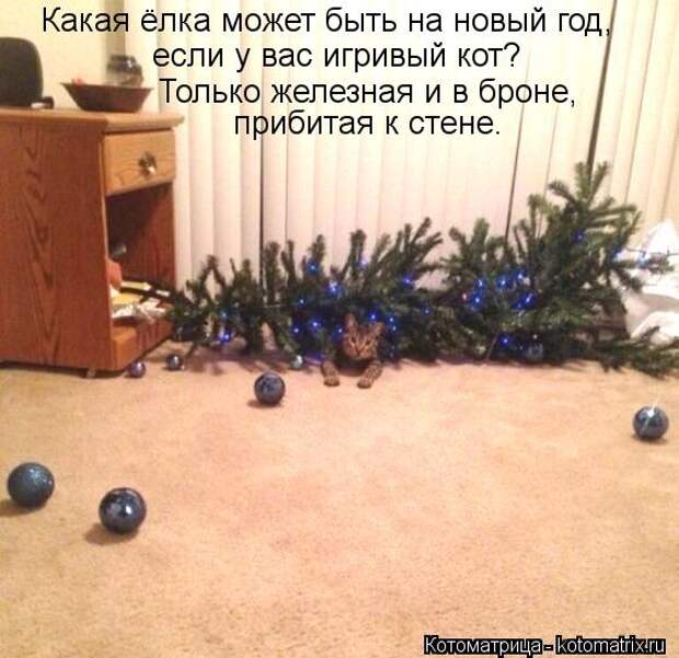 Клёвые отрывные котоматрицы (30 фото)
