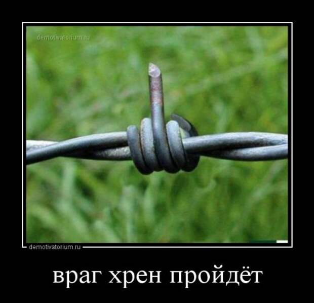 Новая порция демотиваторов (15 шт)