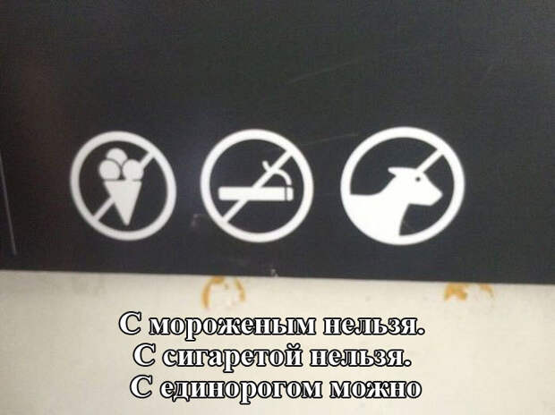 Прикольные картинки (95 фото)