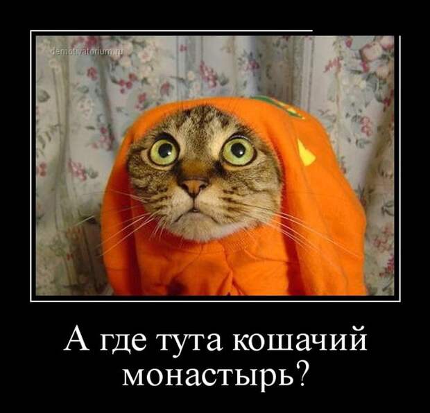 Демотиваторы (30 фото) Демотиваторы (30 фото)