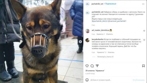 Скриншот из инстаграм ветклиники в Печатниках 