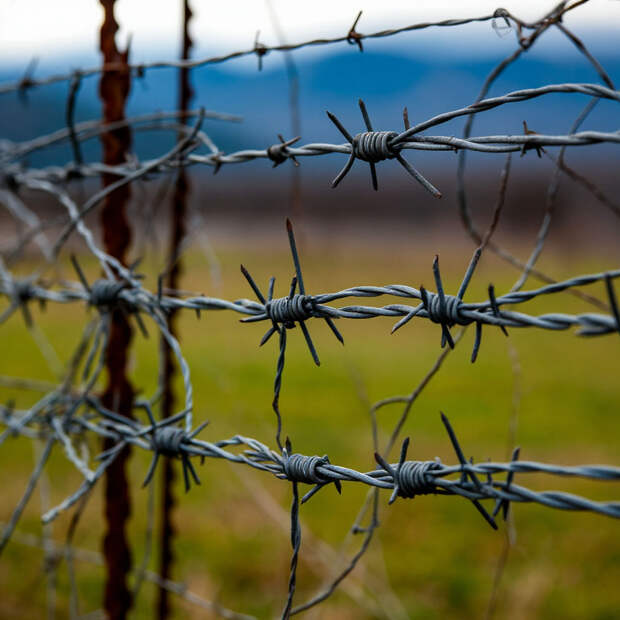 Пятые роды у заключенной: в Подмосковье в колонии родился младенец