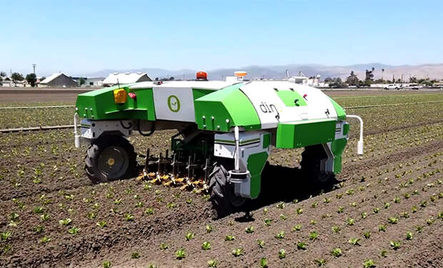 Роботы заменят даже крестьян. В Китае они уже научились собирать яблоки