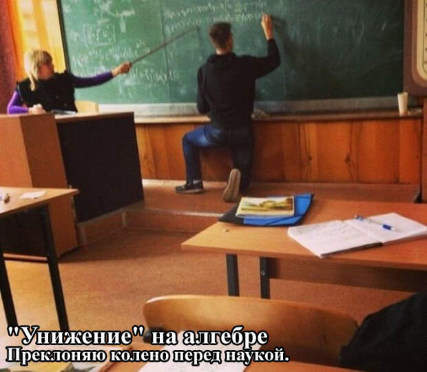Картинки со смешными подписями картинки, прикол, юмор
