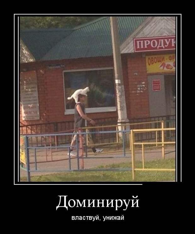 Демотиваторы  демотиваторы, прикол, смех, юмор