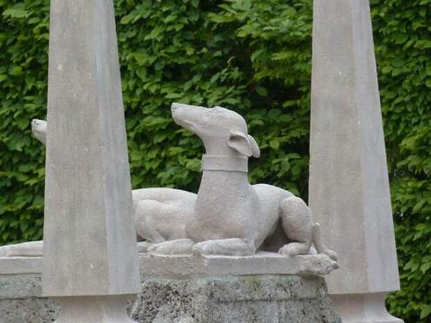 В Абрау-Дюрсо собаку похоронили на человеческом кладбище