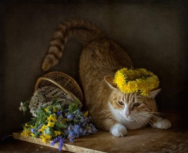 Весенние натюрКотики!