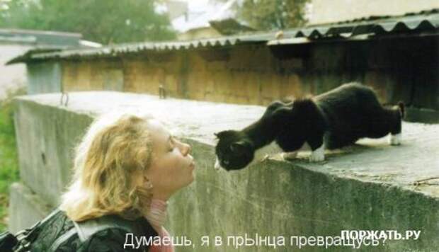 Ржачные картинки животных, смешные надписи.