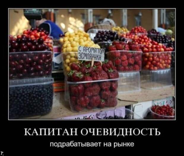 Фото демотиваторы.