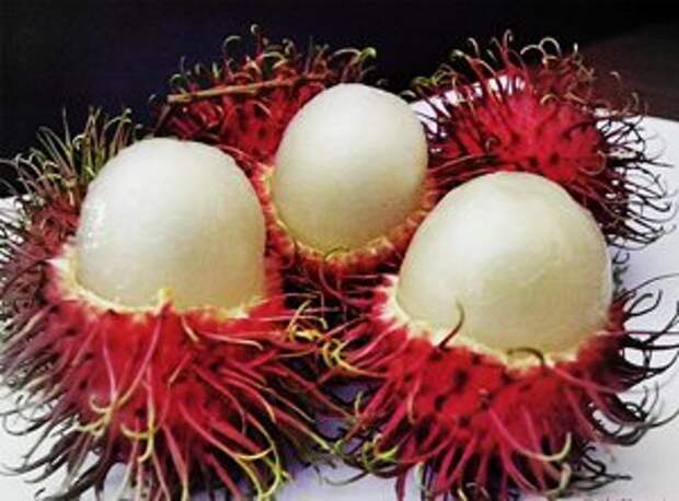 Рамбутан (Rambutan)