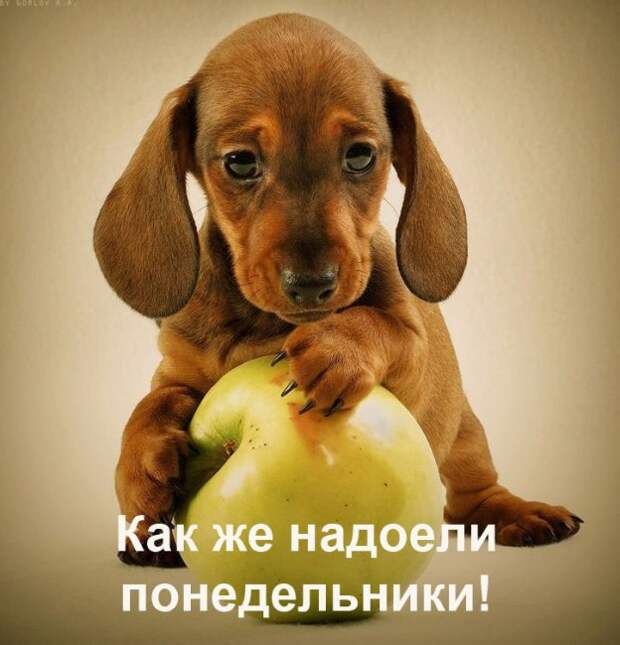 Давайте улыбаться вместе :)