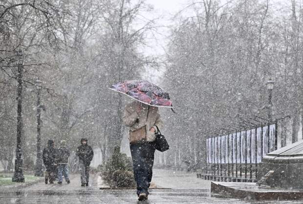 В Москве и области ввели желтый уровень погодной опасности из-за снегопада
