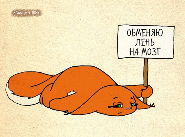 мир глазами белки, Крошка Ши 