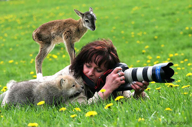 1. животные, природа, профессия, фотограф