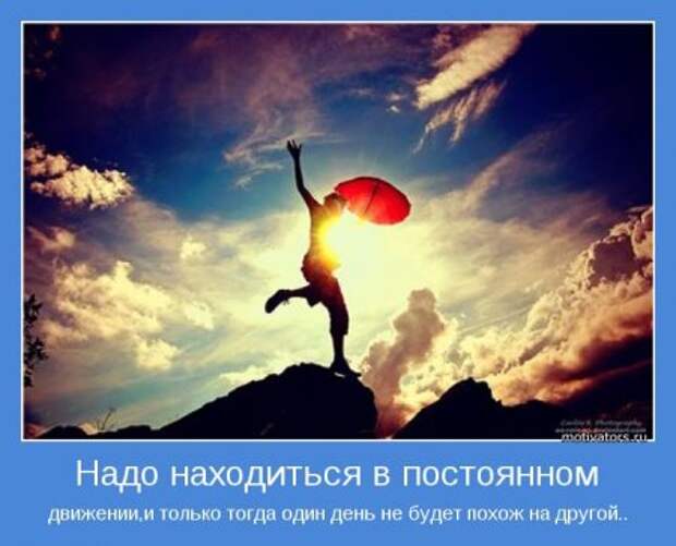 Цитаты о жизни прикольные, мотиваторы картинки.