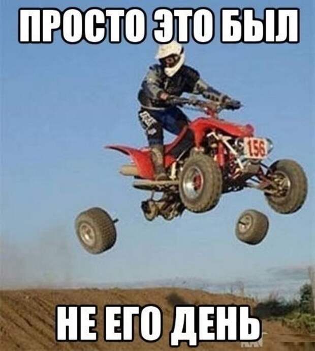 Смешные картинки с подписями катинки, прикол, юмор