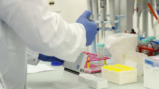 Больше всего случаев коронавируса в России за сутки выявили в Москве