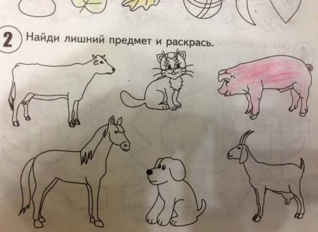 24 задачи из учебников, от которых волосы дыбом встают 24 задачи из учебников, от которых волосы дыбом встают знания-сила, маразм, образование, реформа, учебники