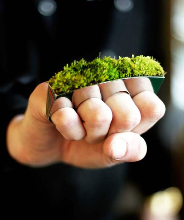 green-design-ideas-inspired-by-nature-2-8-3