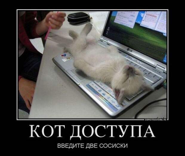 Пост прикольных демотиваторов Пост прикольных демотиваторов