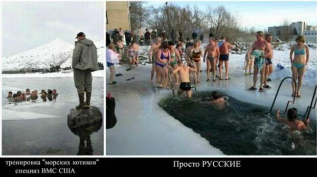 Картинки, юмор, приколы
