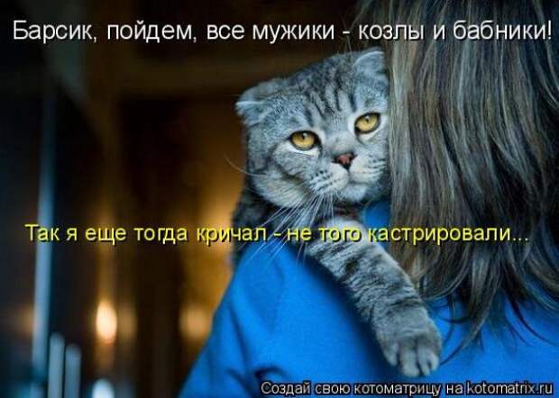 Котоматрица про любовь (часть 2)