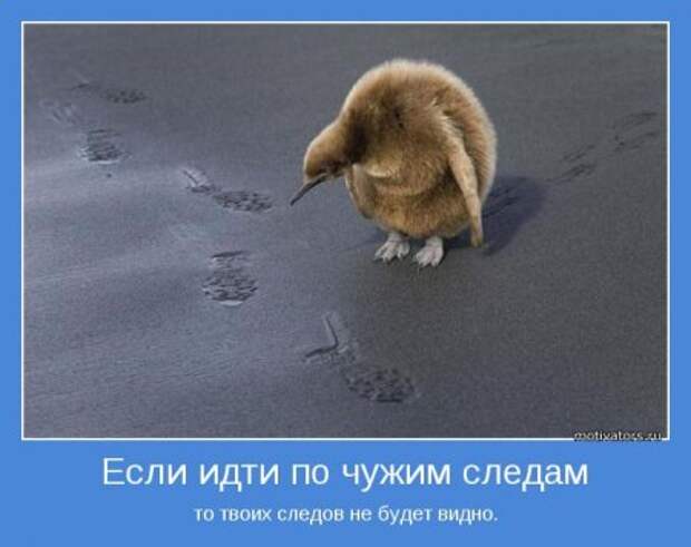 Мотиваторы, как всегда только серьезные...