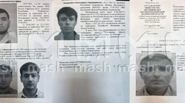 Ориентировки на подозреваемых в нападении на 