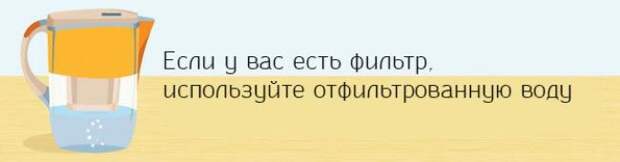 15 истин о чае,  познавательное о чае, как правильно заваривать чай