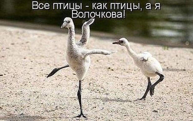 image (450x283, 142Kb)