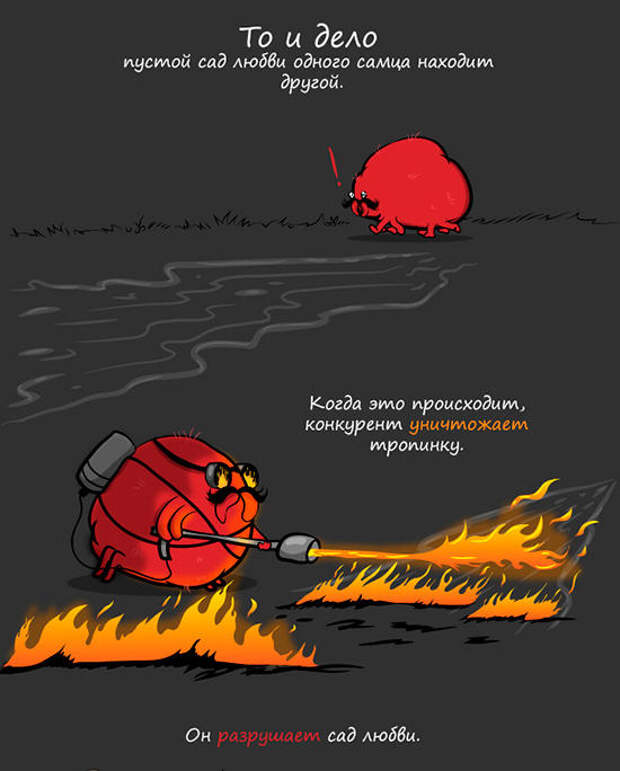 Как даме сперму подарить с любовью!