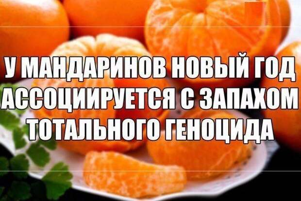 Новогодние веселые картинки прикол, юмор