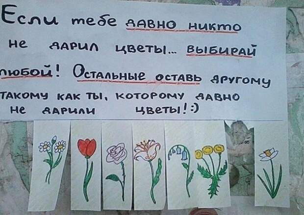 Народный креатив креатив, объявления, юмор